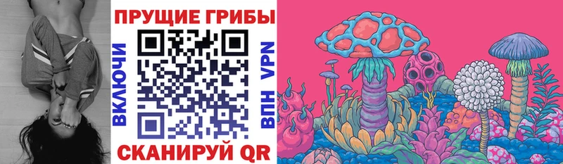 Галлюциногенные грибы Psilocybine cubensis  Купить где  Малоархангельск 